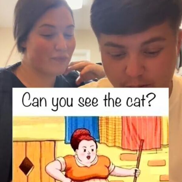 Optička iluzija koja je zaludela svet!Mnogi su pokušali ali im ne ide: Možete li da vidite mačku na slici?