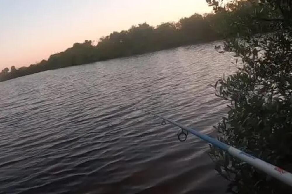 Cela Srbija bruji o monstrumu kojeg je upecao Ivan Mančić: Slika se munjevito deli, kako je ovo moguće (FOTO)