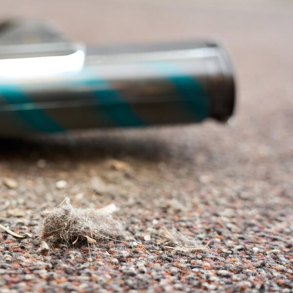 Kad je videla šta je usisala doživela je šok: Opasnost za celu porodicu, zbog ovoga je mogao neko čak i da umre