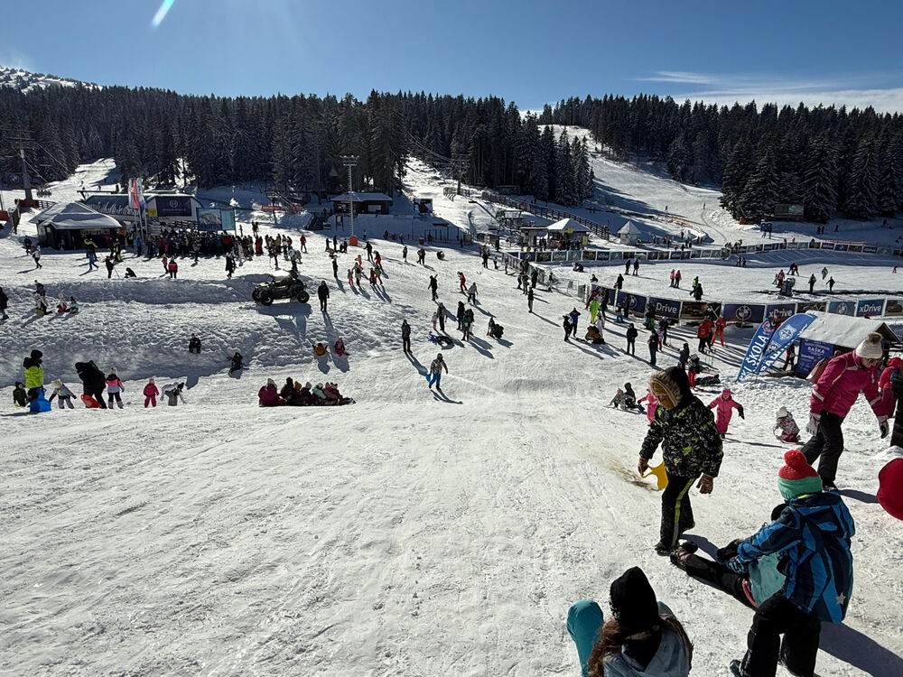 Kopaonik