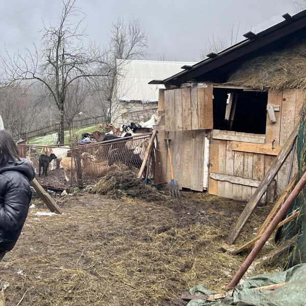 Život u Rusiji zamenila napuštenim i udaljenim selom! Tatjana uzgaja koze, a ćerku udala u ovaj srpski grad! (FOTO)