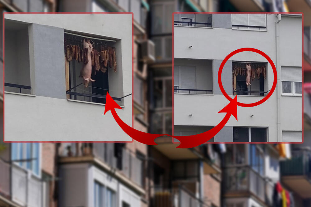 "Pazite, neko će vas opljačkati" Neverovatan prizor sa terase u Futogu, ovakvo "sušenje veša" niste videli! (FOTO)