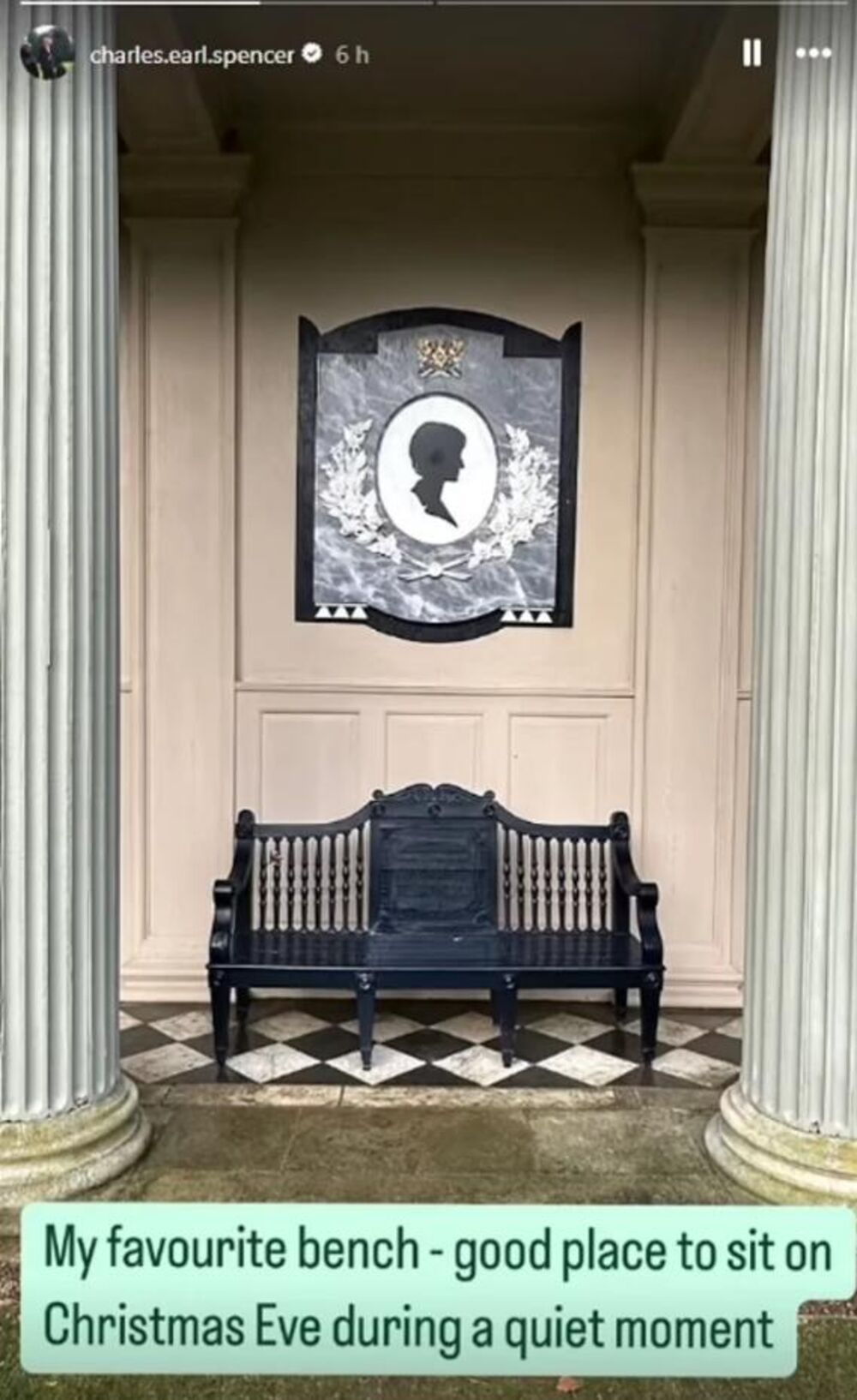 Čarls Spenser, Princeza Dajana