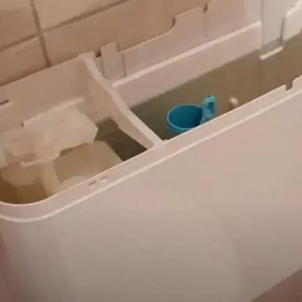 Proverena četiri načina koja će očas posla očistiti vodokotlić: Jedan nikome nikada ne padne na pamet