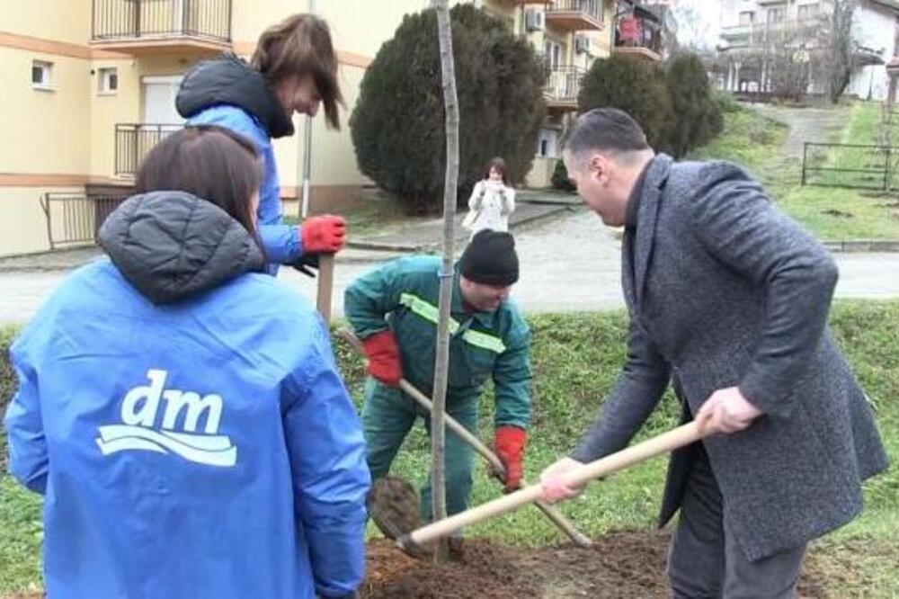 "OVO JE DOKAZ VELIKE BRIGE VRNJAČKE BANJE PREMA ZAŠTITI ŽIVOTNE SREDINE" Akcija Zasadi drvo i fokus na japan