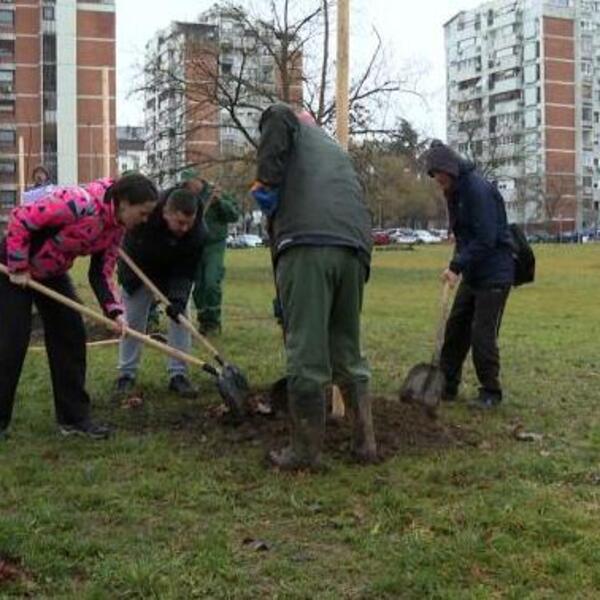 PRIBLIŽILI SMO SE BROJCI OD MILION SADNICA! "Zasadi drvo" kompanija WMG i dm drogerie markt dostigao nezamislivo