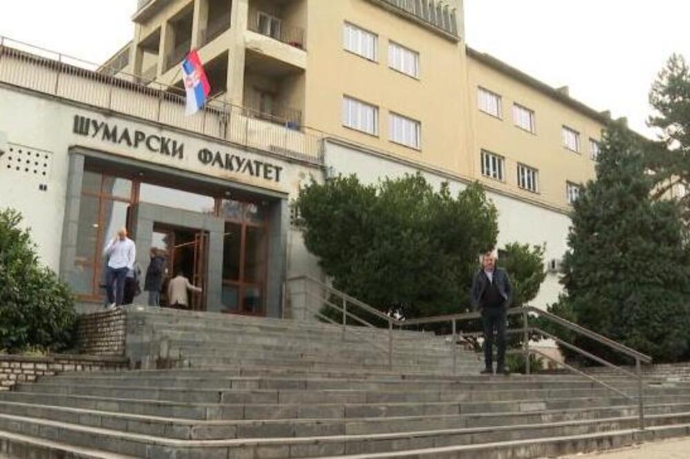 Akcija "Zasadi drvo": Šumarski fakultet u Beogradu se bori za očuvanje prirodnih resursa