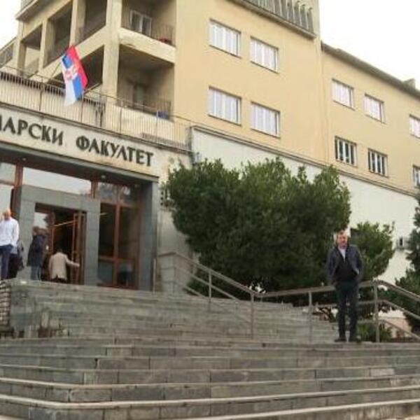 Akcija "Zasadi drvo": Šumarski fakultet u Beogradu se bori za očuvanje prirodnih resursa