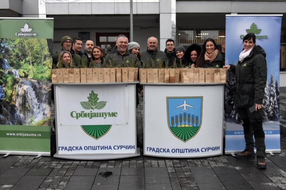 NOVOGODIŠNJI BAZAR Na teritoriji Barajeva, Rakovice, Palilule, Voždovca i Surčina, podeljeno ukupno 1.267 sadnica