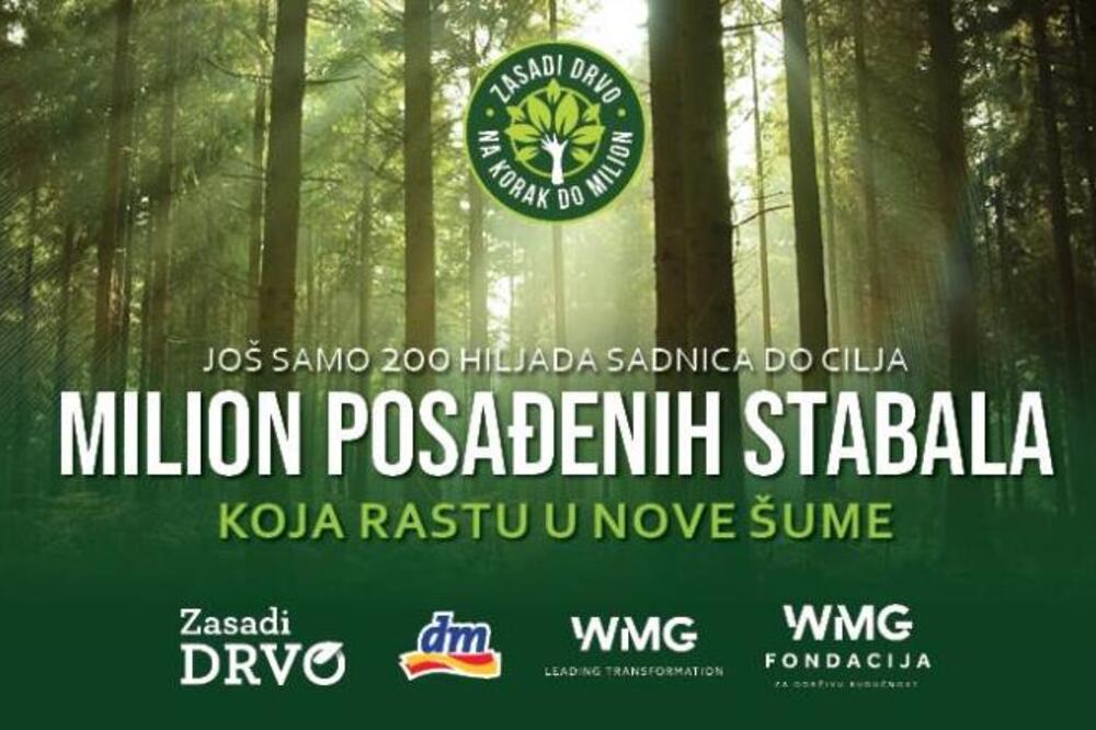PROJEKAT ZASADI DRVO: U 6. ciklusu stižemo do cilja, a to je MILION POSAĐENIH STABALA KOJA RASTU U NOVE ŠUME