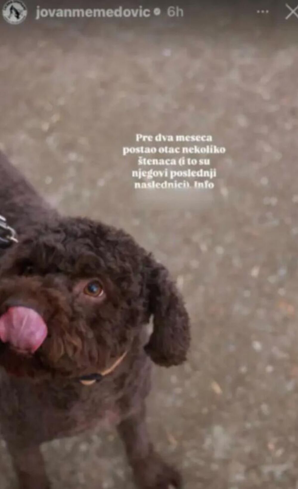 Objava Jovana Memedovića