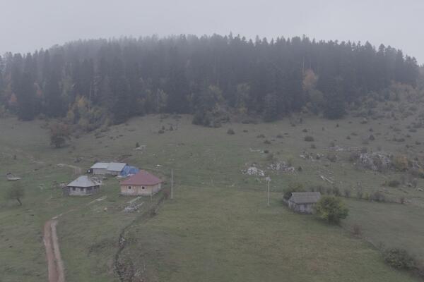 Niko iz ove misteriozne šume u Srbiji ne želi ni granu da ponese! "Svakoga ko u nju dirne, brzo stigne Božja kazna"