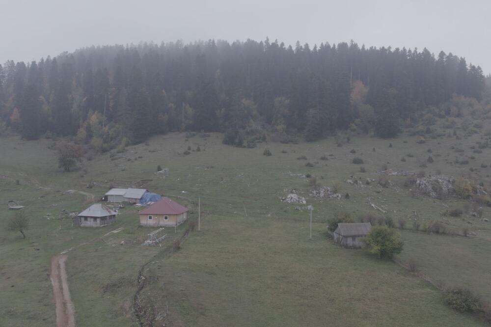 Niko iz ove misteriozne šume u Srbiji ne želi ni granu da ponese! "Svakoga ko u nju dirne, brzo stigne Božja kazna"