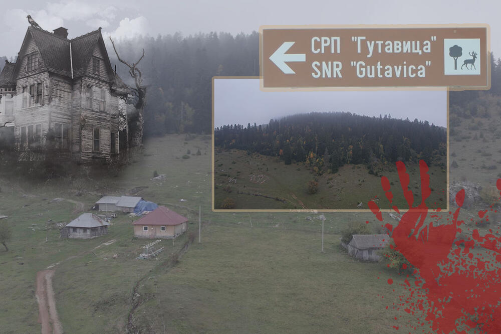 Niko ne sme ni grančicu da uzme: Ovu šumu u Srbiji meštani nazivaju "ukletom" i "čarobnom" (FOTO)