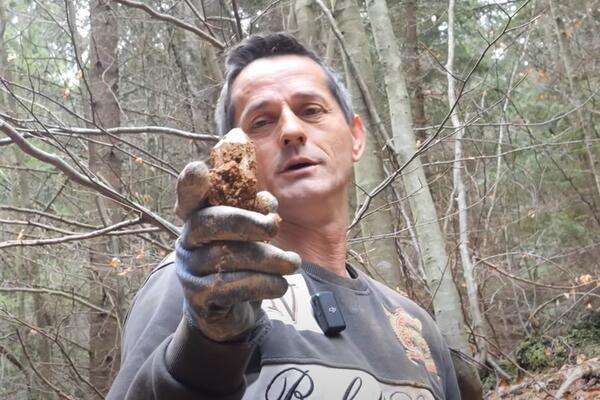 Marko za komad ovog čuda zaradi prosečnu platu u Srbiji: Kopa po šumi i broji novčanice, takav mu posao (VIDEO)