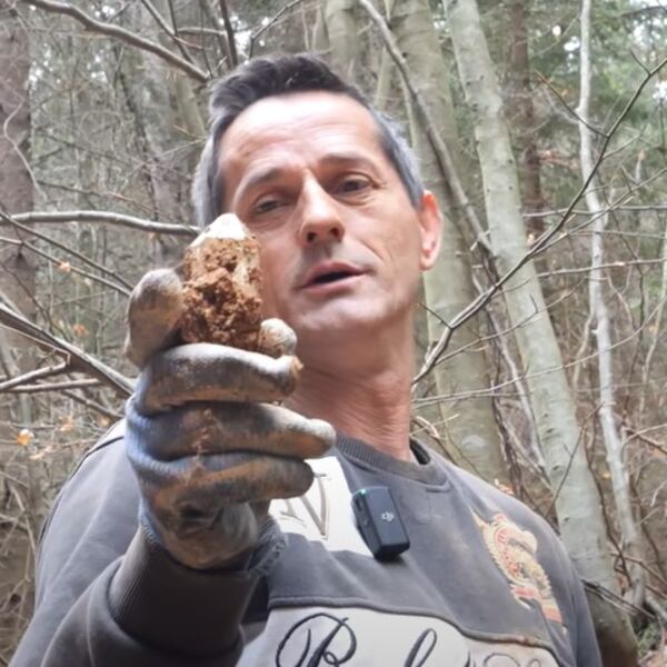 Marko za komad ovog čuda zaradi prosečnu platu u Srbiji: Kopa po šumi i broji novčanice, takav mu posao (VIDEO)