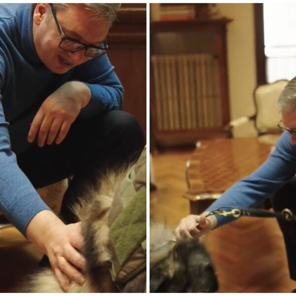 "On je moj verni čuvar": Vučić podelio snimak na TikToku i pokazao svog omiljenog ljubimca, evo od koga ga je dobio