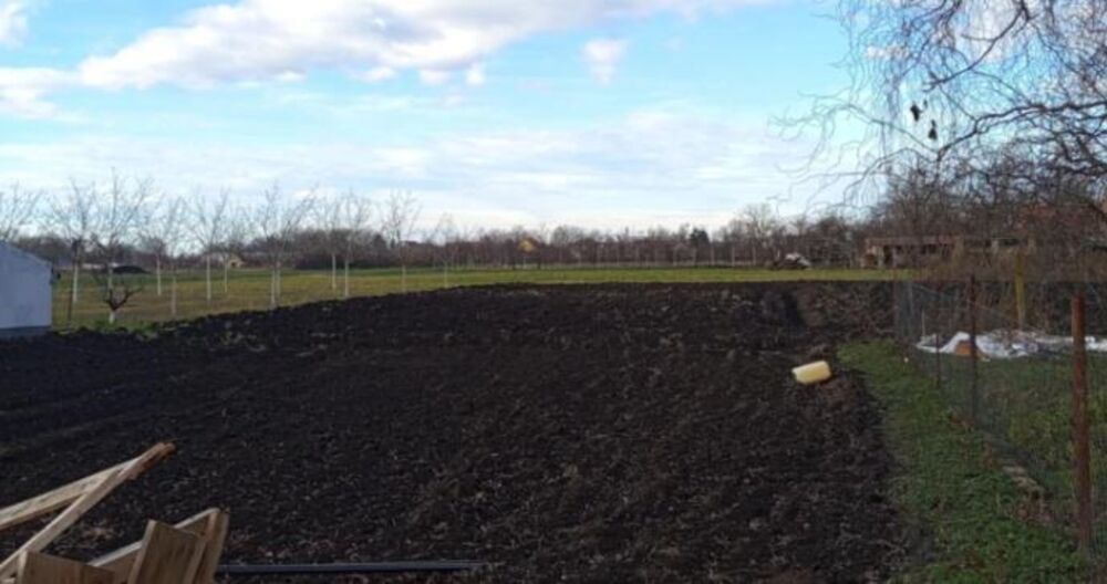 Bašta u dvorištu kuće koja se prodaje