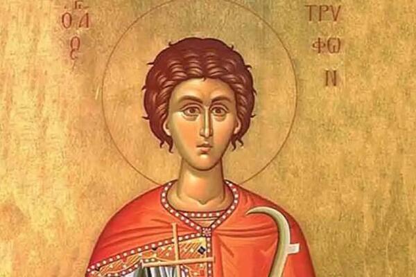 Danas je Sveti Trifun, jedna stvar se strogo, ali strogo poštuje! Običaj ne valja kršiti, a staro verovanje kaže...