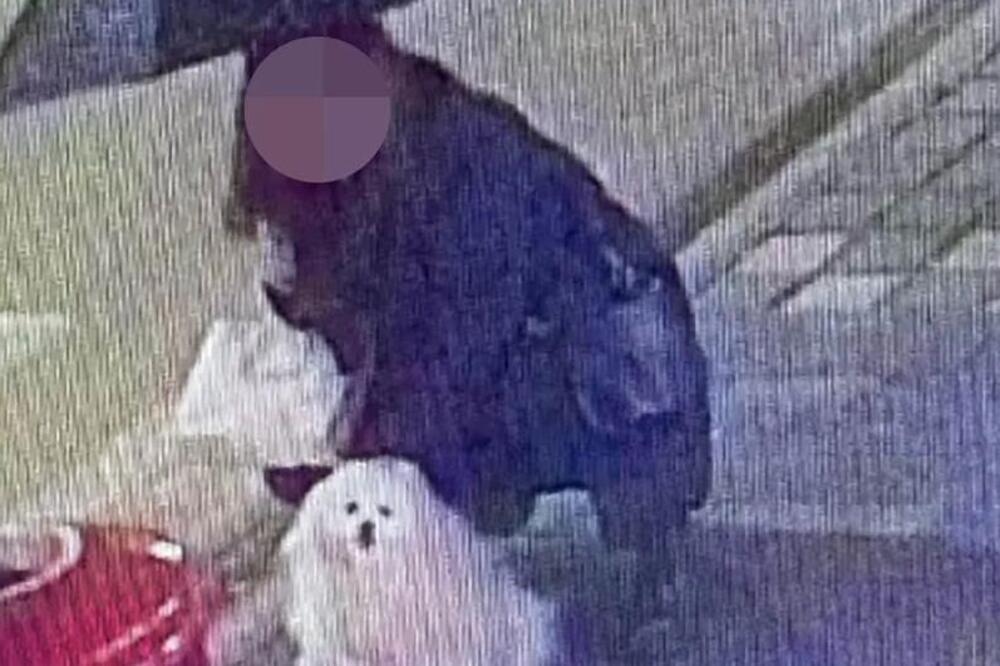 Drama na Novom Beogradu: Vlasnica ostavila psa ispred radnje, a kada je izašla nastao šok! (FOTO)