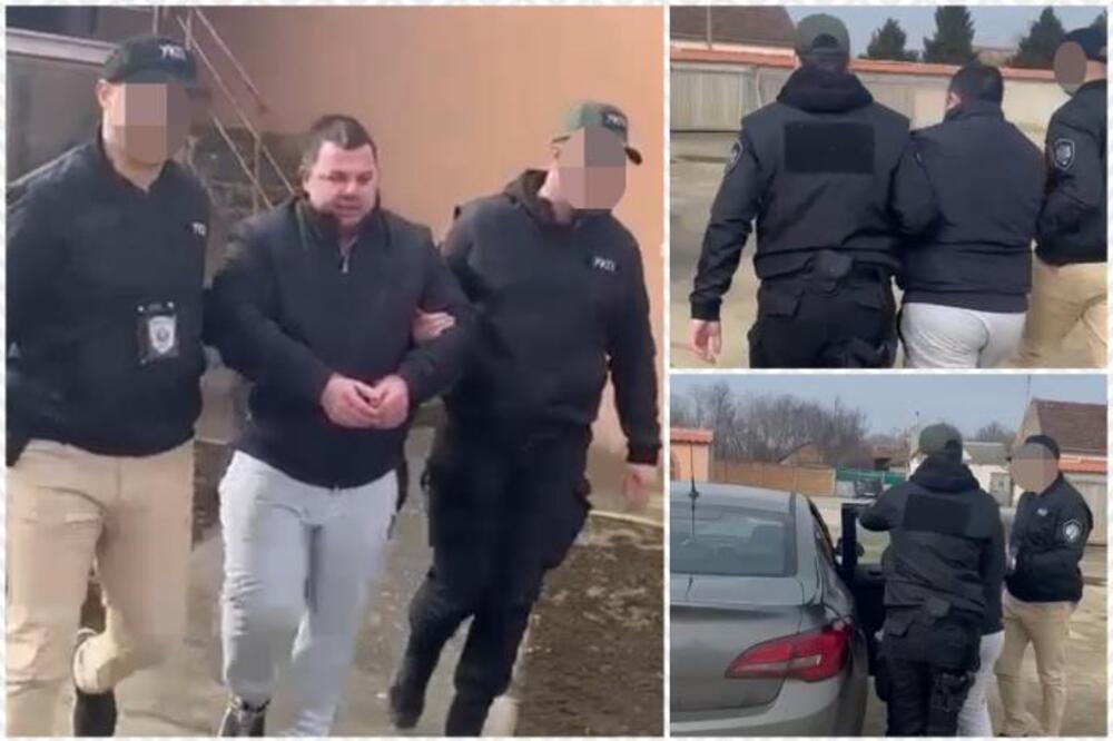 Objavljen snimak hapšenja porodice Tikić: Ovako su familijarno ućarili milione,"pali" sinovi, ćerka i supruga VIDEO