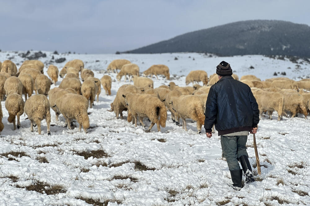 Iz kuće izlaze samo kad se mora, meštani jedva da odu i do štale: Sibirsko jutro svanulo u ovom delu Srbije (FOTO)