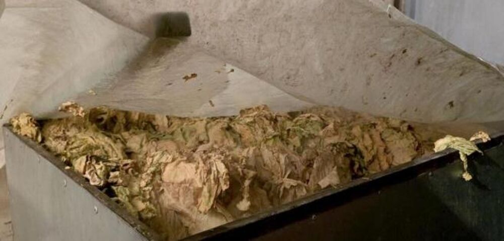 Zaplena duvana u Šapcu