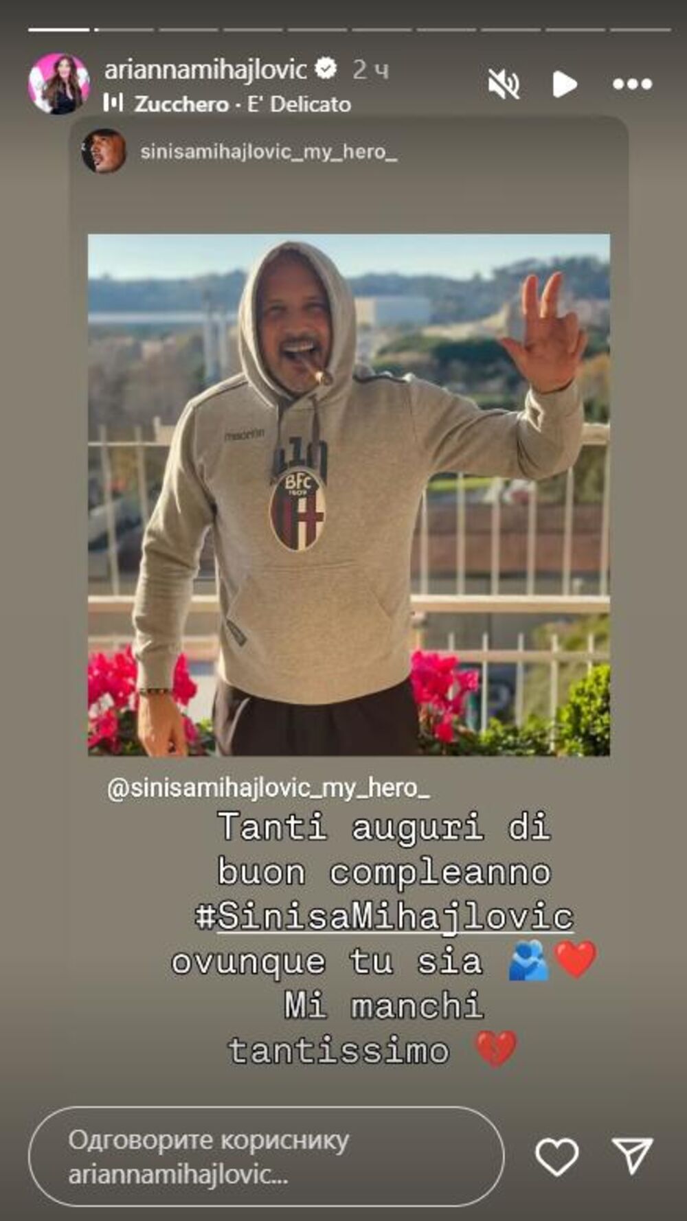 Arijana Mihajlović, Siniša Mihajlović