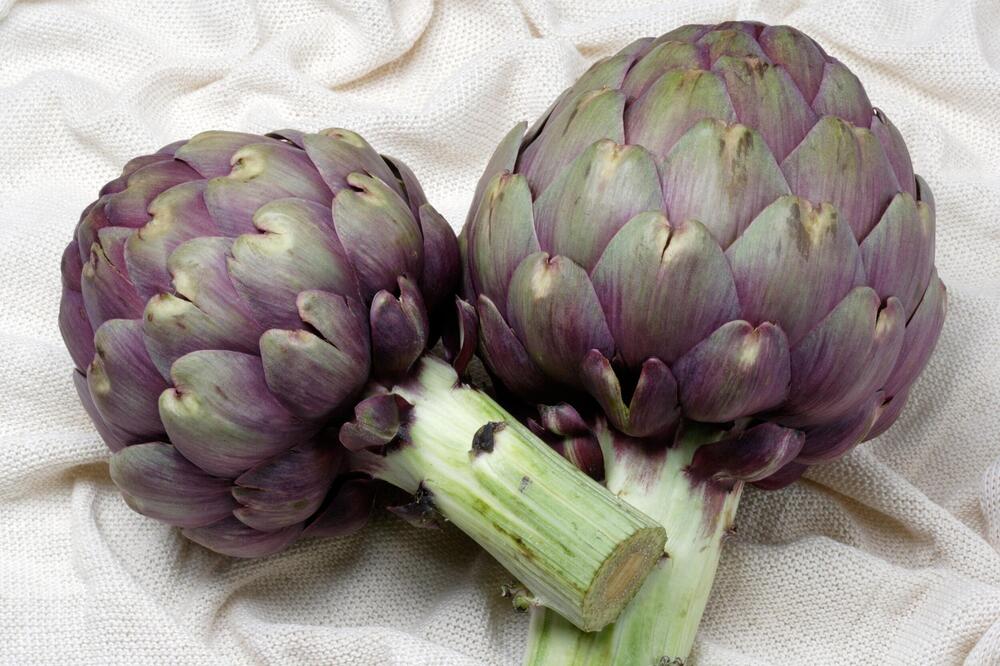PODRŽITE ZDRAVLJE CELOG ORGANIZMA NA PRIRODAN NAČIN: Artičoka pomaže u svemu, a sada je na SNIŽENJU!