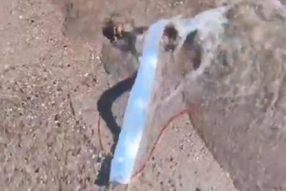 "Riba sudnjeg dana" ponovo viđena u Kaliforniji! Živi samo u velikim dubinama, a sada.... (VIDEO)