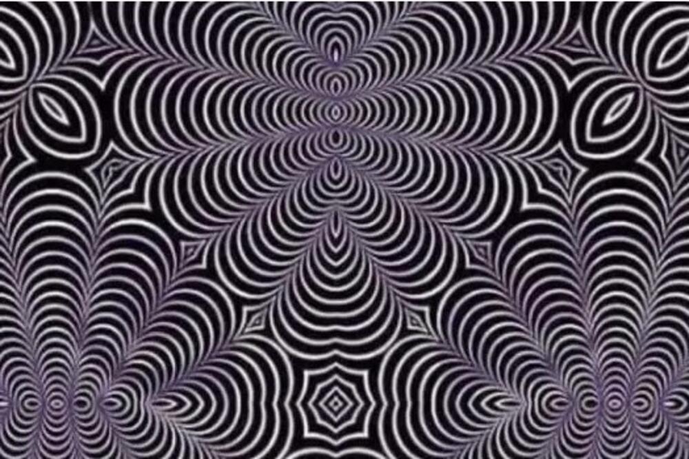 Od razvijenosti mozga zavisi šta ćete videti na ovoj slici: Svet se posvađao oko jedne iluzije, šta vi vidite?