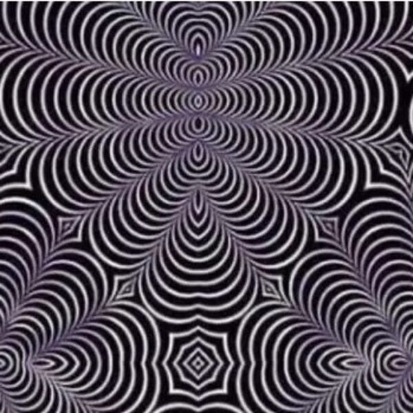 Od razvijenosti mozga zavisi šta ćete videti na ovoj slici: Svet se posvađao oko jedne iluzije, šta vi vidite?