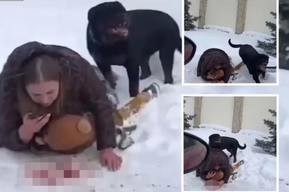 Krv na sve strane, monstruozni rotvajler grize majku, ona leži preko deteta: Snimak gledajte na svoju odgovornost