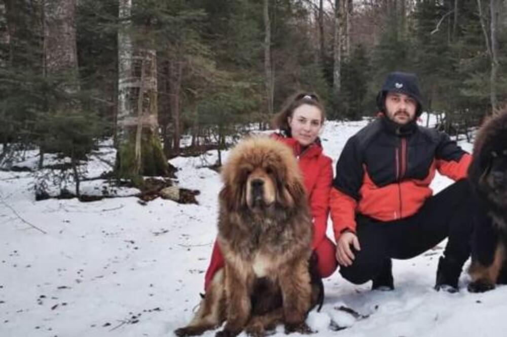 Arsići ušteđevinu potrošili na kupovinu psa, a danas imaju odgajivačnicu: Jedno štene prodaju za preko 1.000 evra!