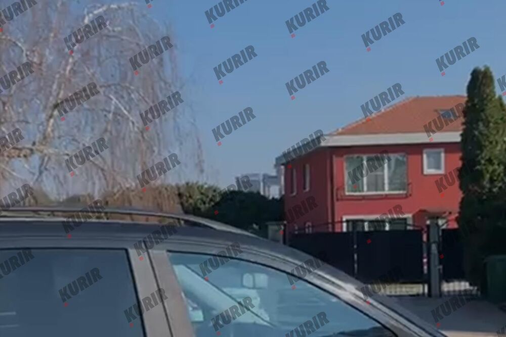 Ispred vile na Bežaniji