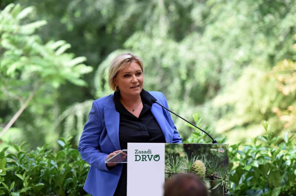 Svetlana Jovanović Mitić