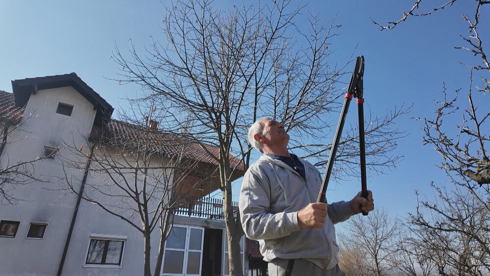 Radenka Lazića je ujela zmija