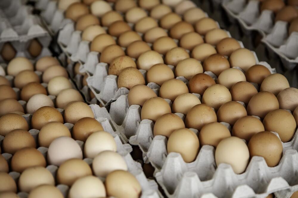 Nutricionisti otkrili koliko tačno jaja smemo pojesti tokom dana! Sve preko ove brojke diže holesterol u nebesa