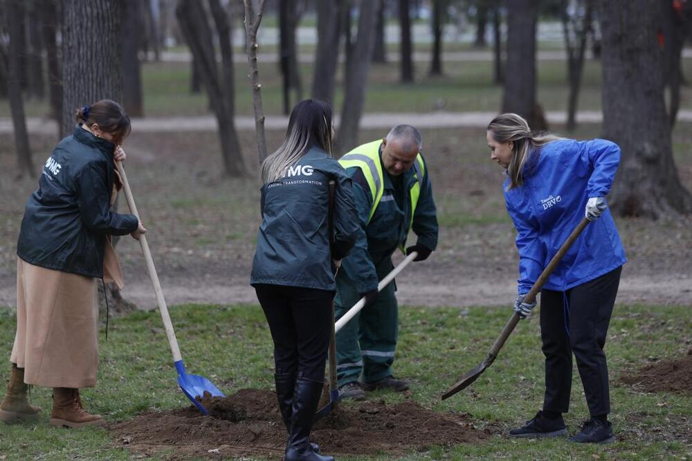 “ZASADI DRVO” – SINERGIJA ZAJEDNICE U STVARANJU ODRŽIVIH ZELENIH OAZA