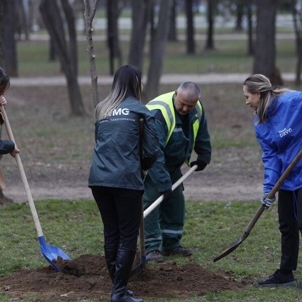 “ZASADI DRVO” – SINERGIJA ZAJEDNICE U STVARANJU ODRŽIVIH ZELENIH OAZA