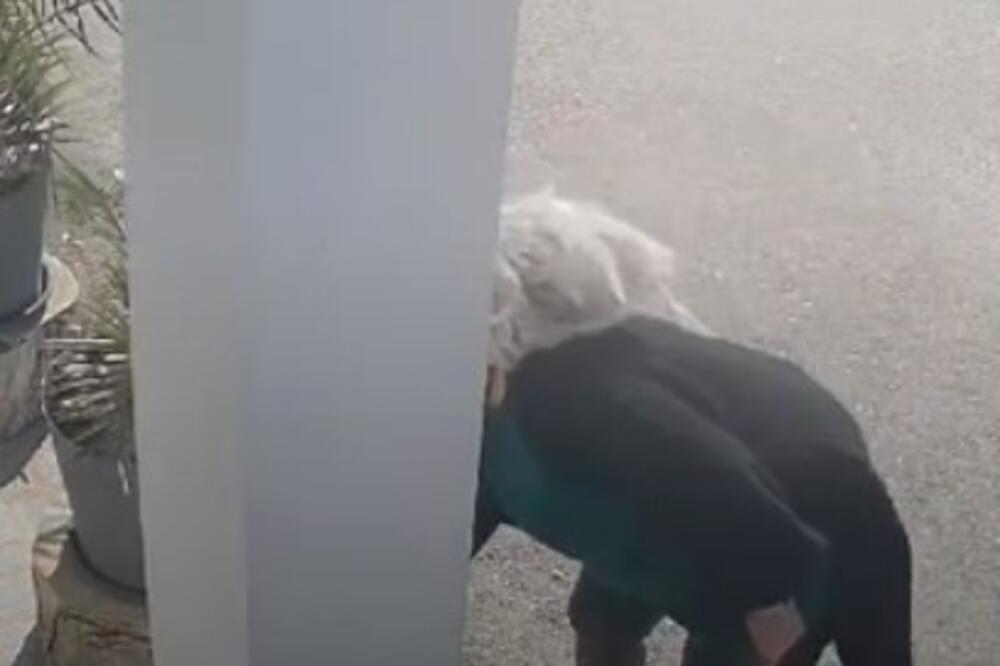 Kako je nije sramota!? Vozi mečku od 30.000 evra, a krade ukrase! Uhvaćena na delu, pogledajte! (VIDEO)