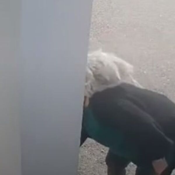 Kako je nije sramota!? Vozi mečku od 30.000 evra, a krade ukrase! Uhvaćena na delu, pogledajte! (VIDEO)