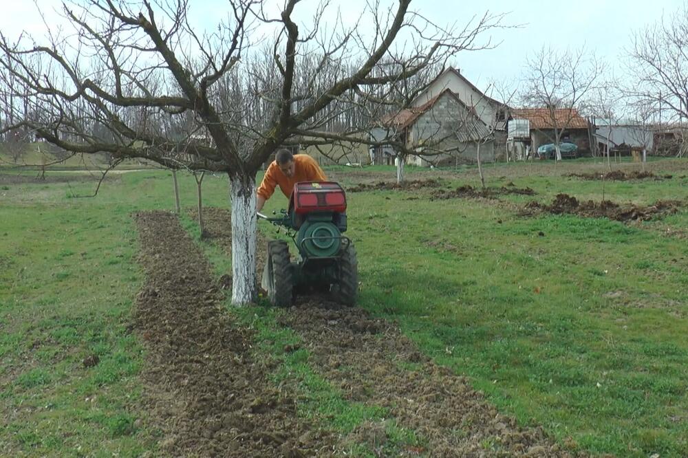 Evo kako da izvučete pesticide iz voća i povrća: Soda bikarbona ne rešava problem, ovo stvarno pomaže