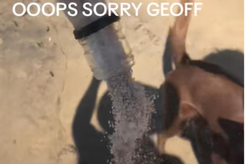 Noćna mora! Pronašli bocu sa porukom, pa kad su je otvorili zgranuli se: U njoj se nalazilo nešto jezivo! (VIDEO)