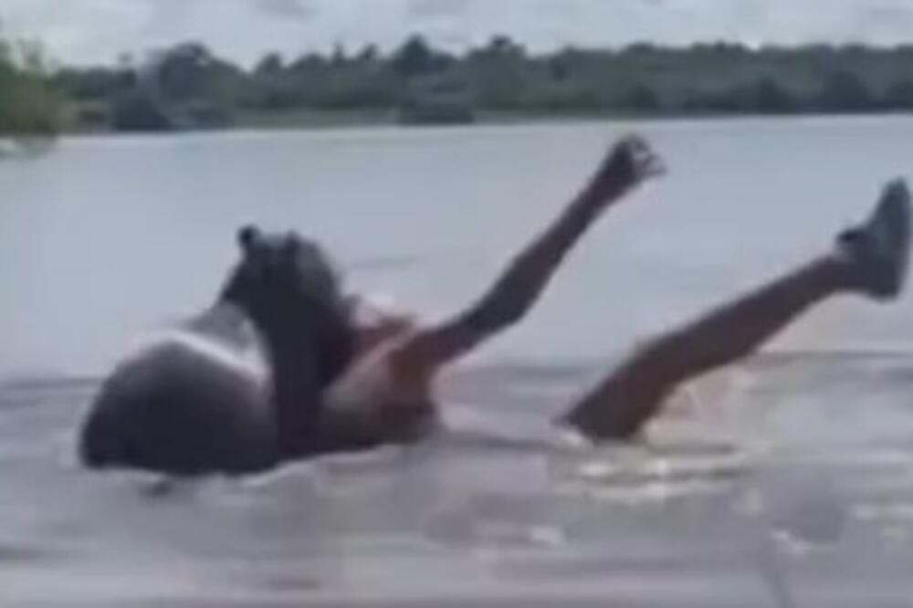 Zver izmilila iz vode pa napala devojčicu: Opasan glodar je ščepao krvoločno, snimak je strašan (VIDEO)