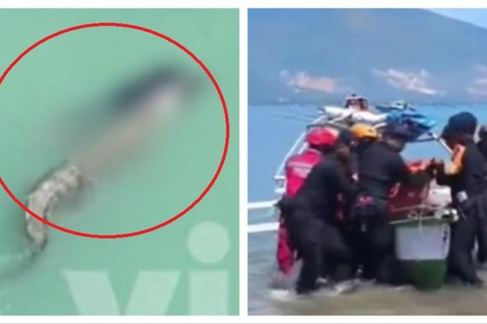 Sa plaže su se drali da mu nešto pliva iza leđa! Nažalost, bilo je kasno, mogli su samo da gledaju HOROR uživo!