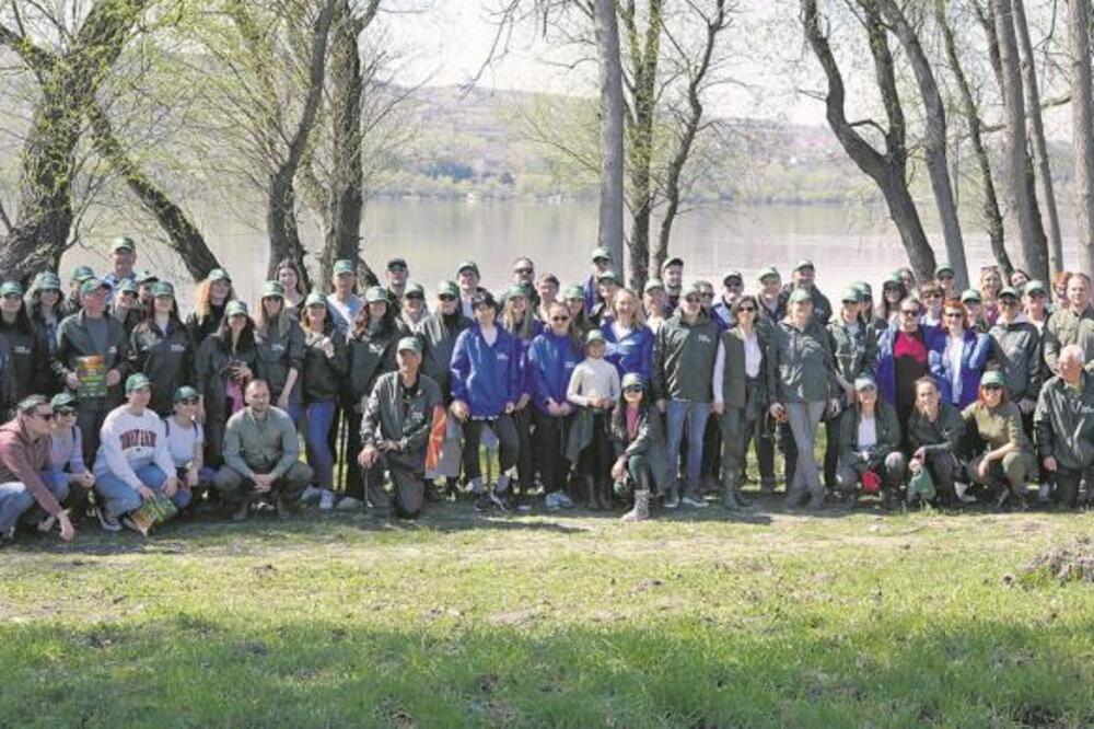 ZASADI DRVO: JEDNA VIZIJA, ŠEST GODINA, MILION SADNICA