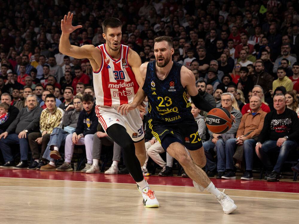 Duel Gudurića i Petruševa