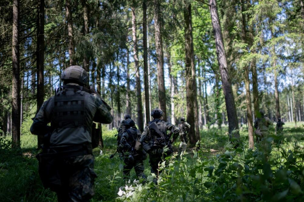 Epidemija zarazne bolesti u blizini Srbije! Mađarska rasporedila vojsku, Austrija zatvara manje granične prelaze!