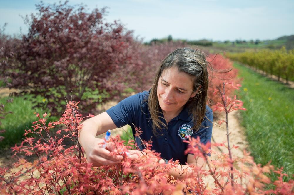 Kad god bi muž otišao iz kuće, dever bi ušao u sobu: A onda sam se pijana i gola probuila pored njega, a od stida..